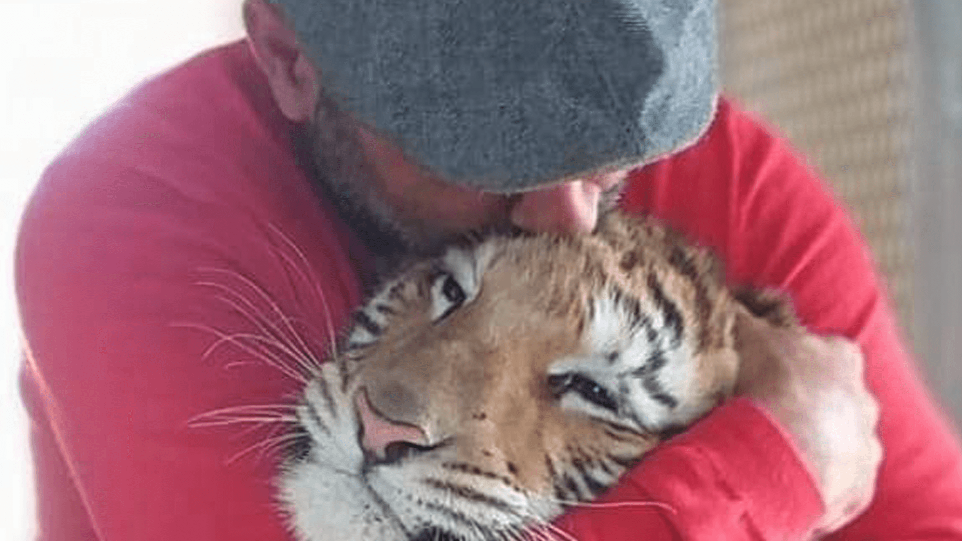 Maltese zoo owner enraged over new rules on touching animals