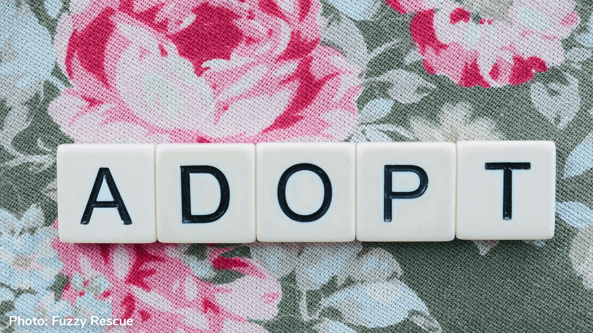 Up to €1,000 grant for families wanting to adopt locally