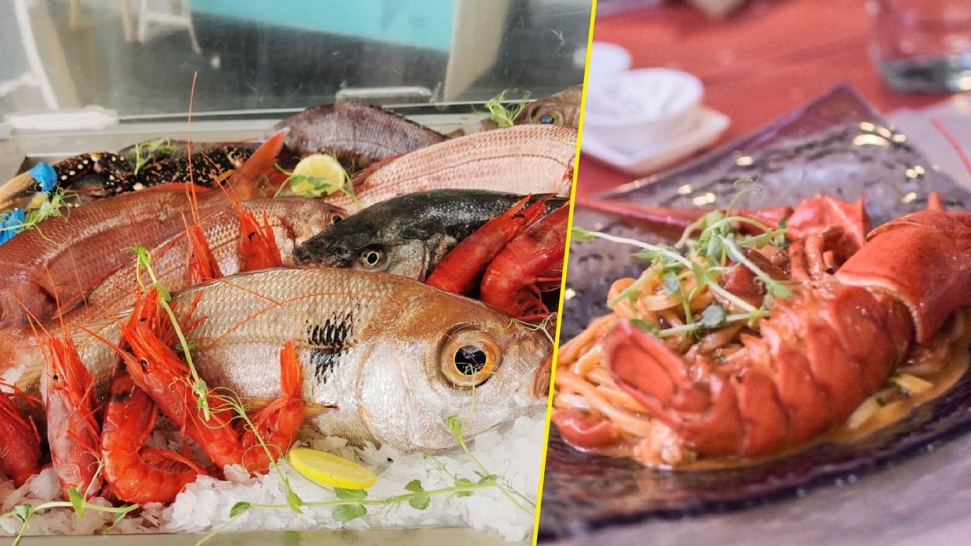 Le Majoliche is our new favourite Sicilian restaurant and we can’t get enough