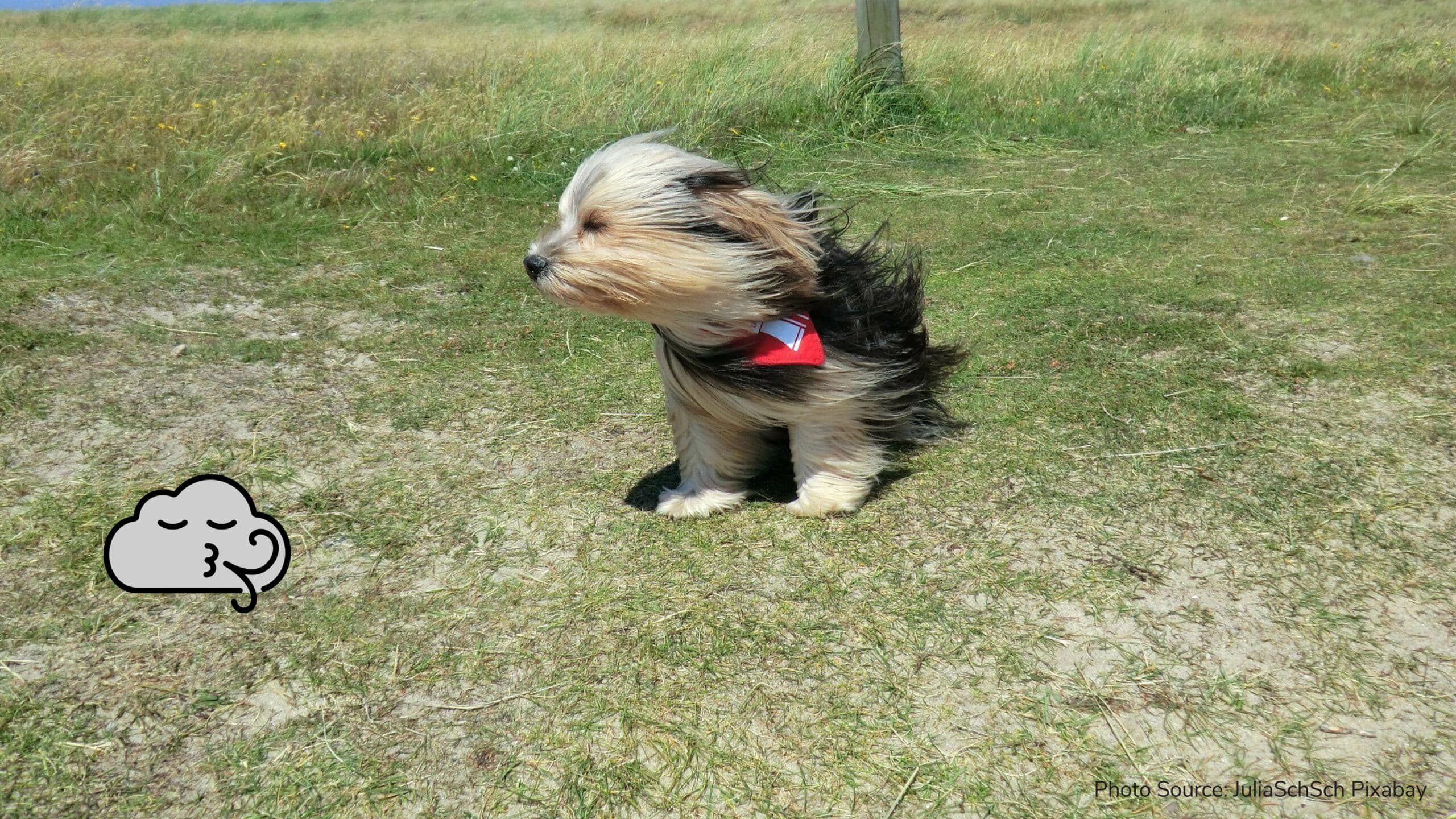 Strong winds predicted today