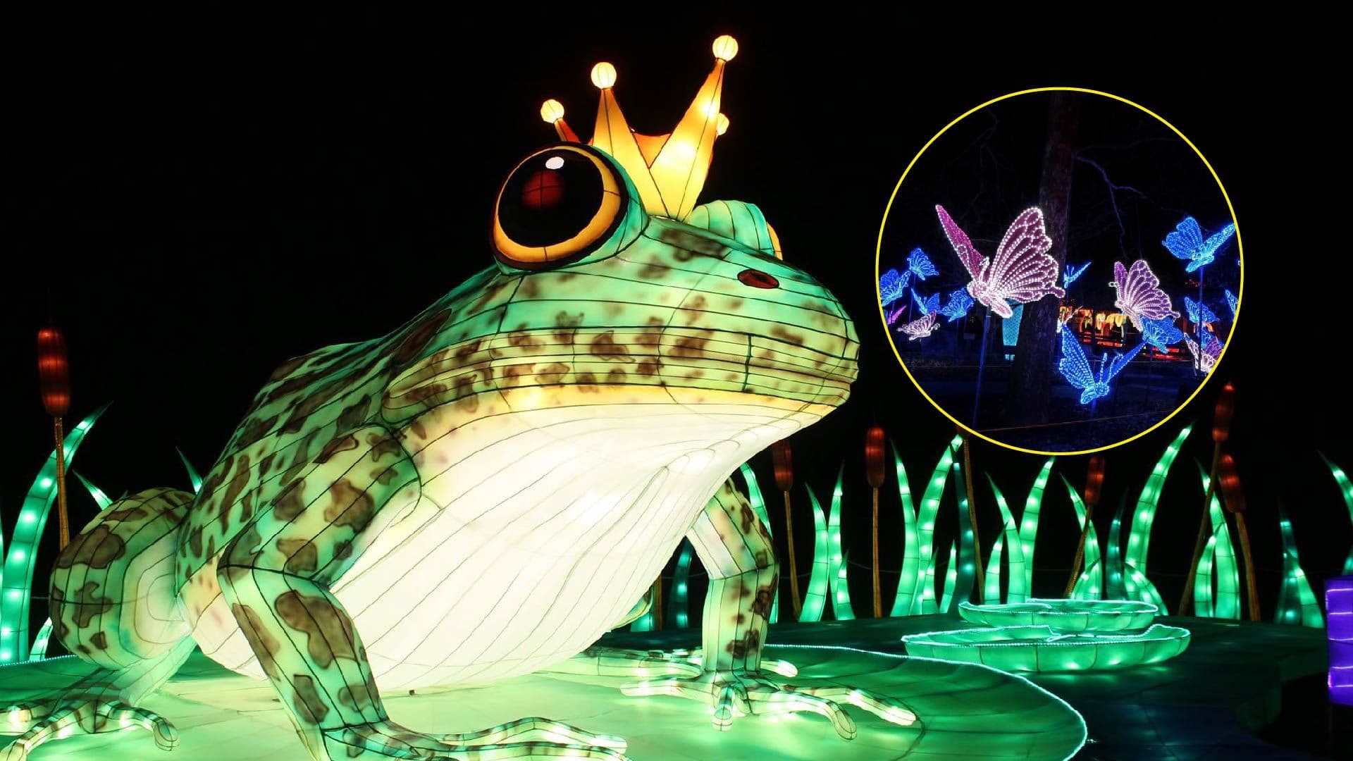 The Magical Illuminated Trail opens its doors to the public