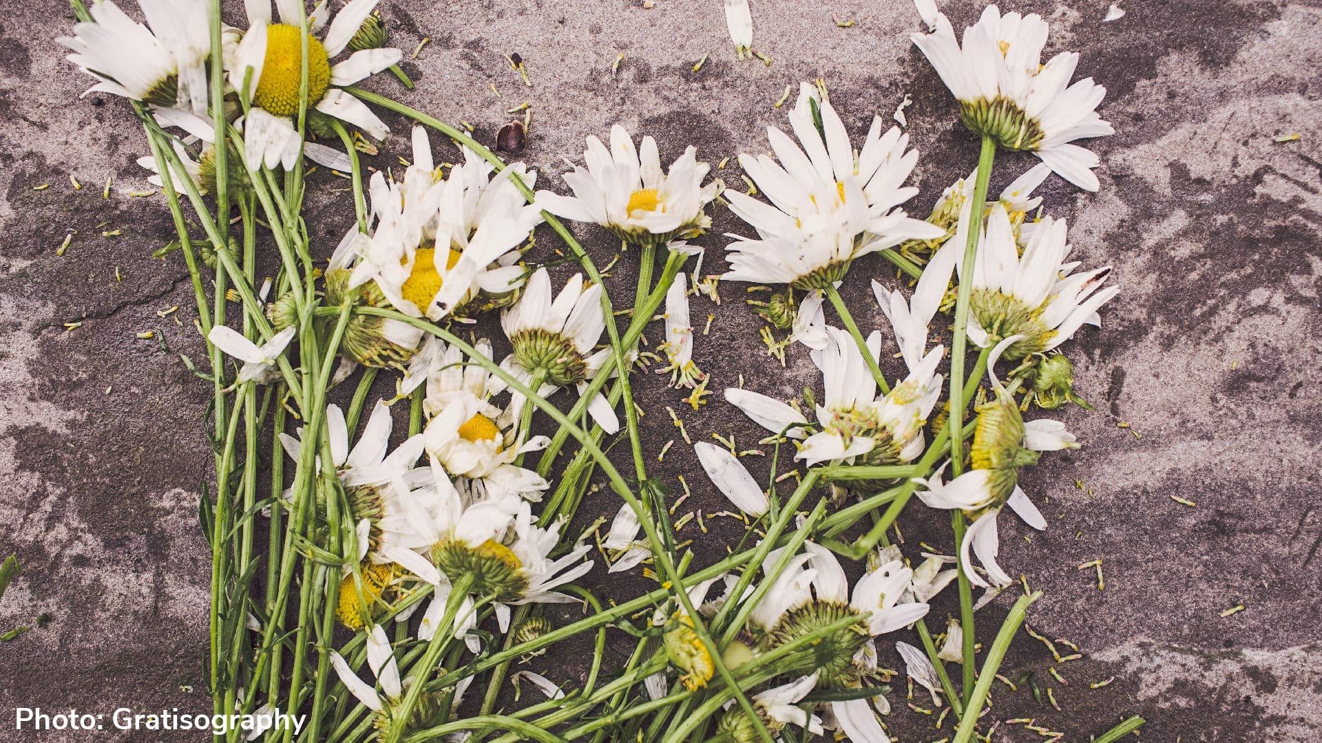 80-year-old woman is the 55th victim of COVID-19