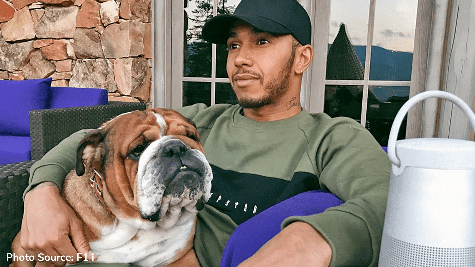 Lewis Hamilton criticised by experts for his dogs ‘dangerous’ vegan diet