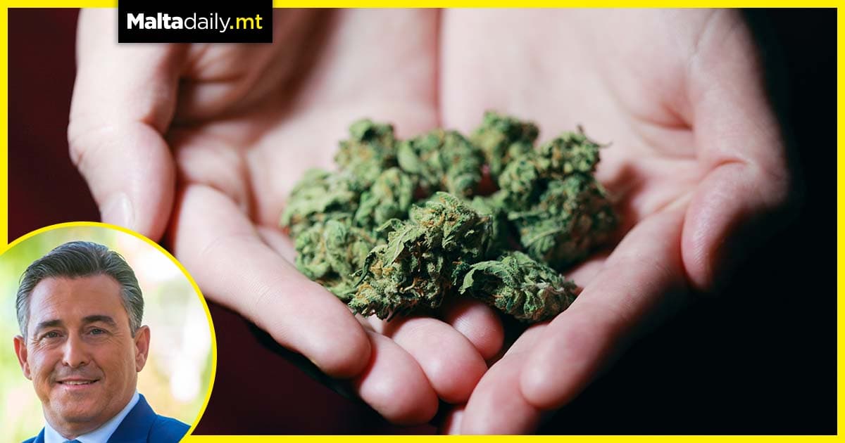 Cannabis reform will create “drug abuse culture”, PN says