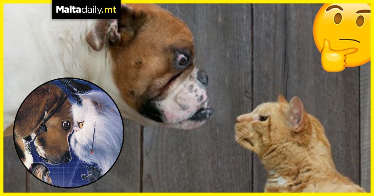 How did Dogs and Cats become cultural enemies?