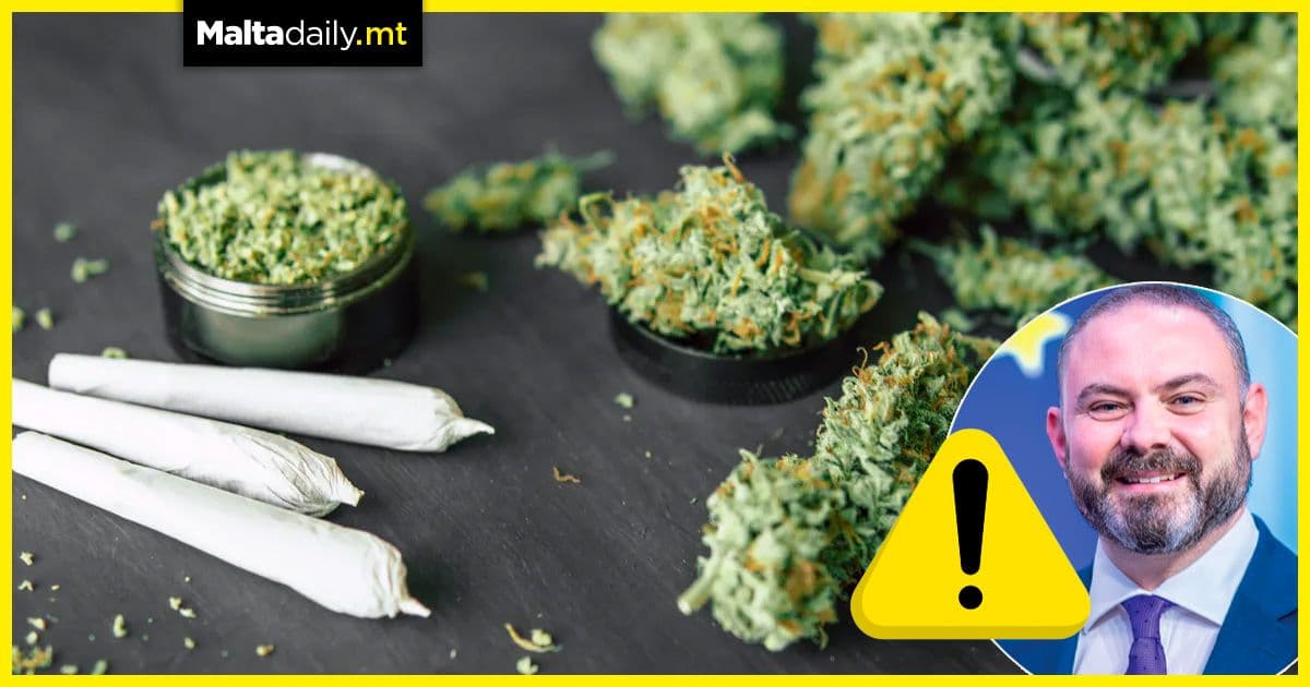 4 plants, 7 grams and cannabis clubs announced by Reforms Minister