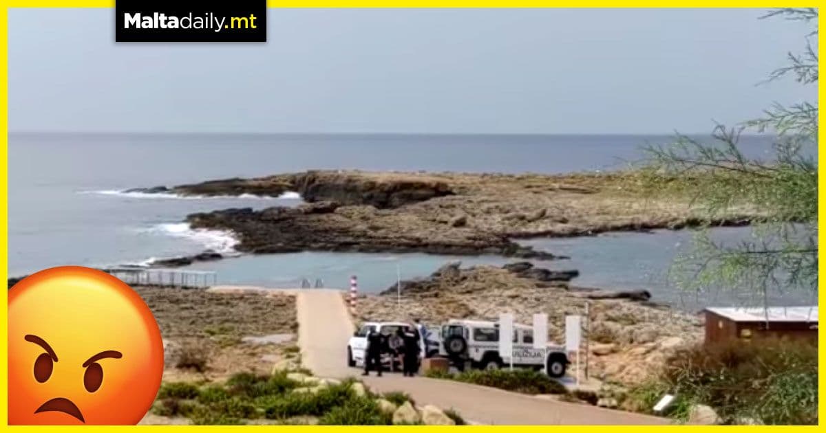 Suspected poacher arrested after four flamingos shot in Qawra