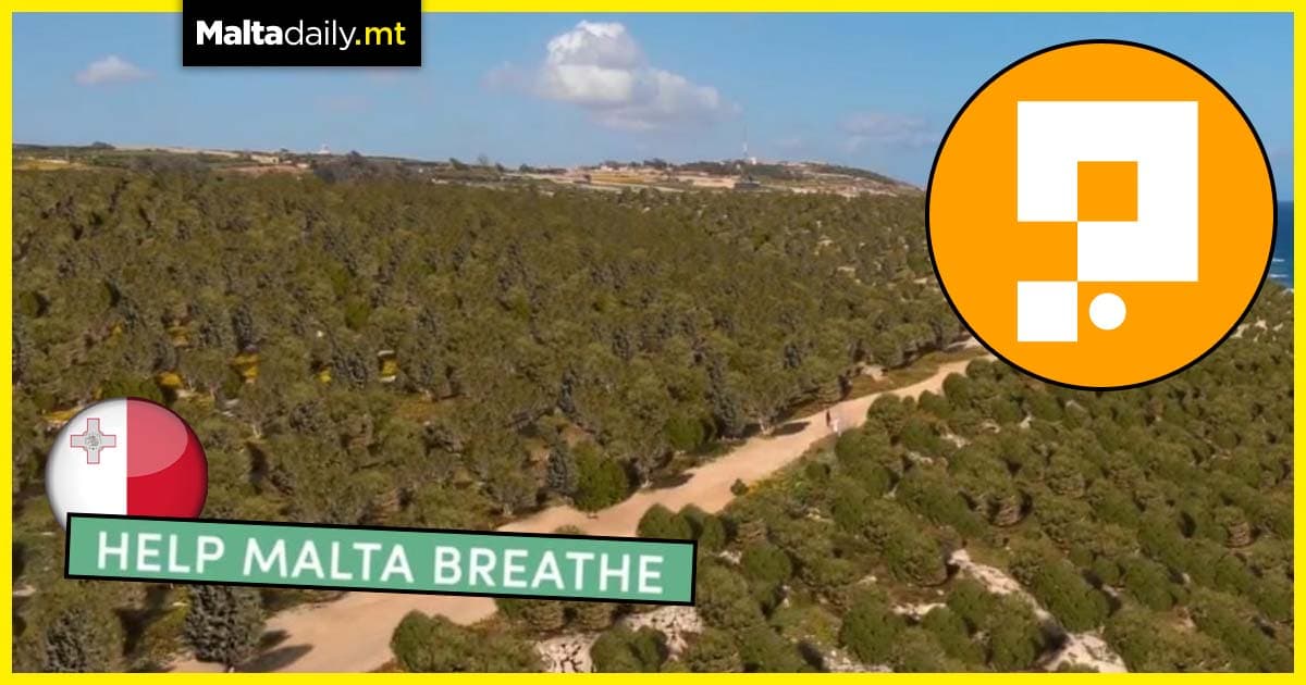Afforestation project seeks to give Malta new breath with over 40,000 trees