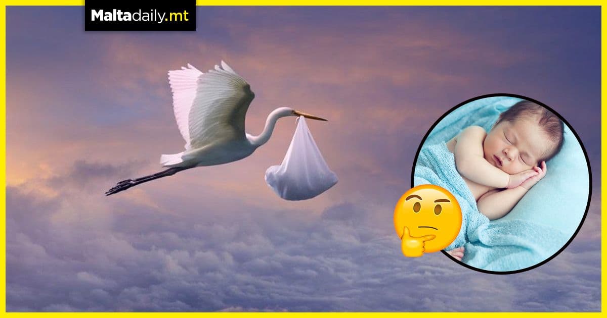 Where did the stork baby delivery system idea come from?