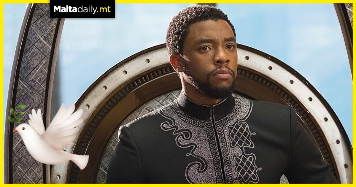 A Tribute to Chadwick Boseman a year after his passing