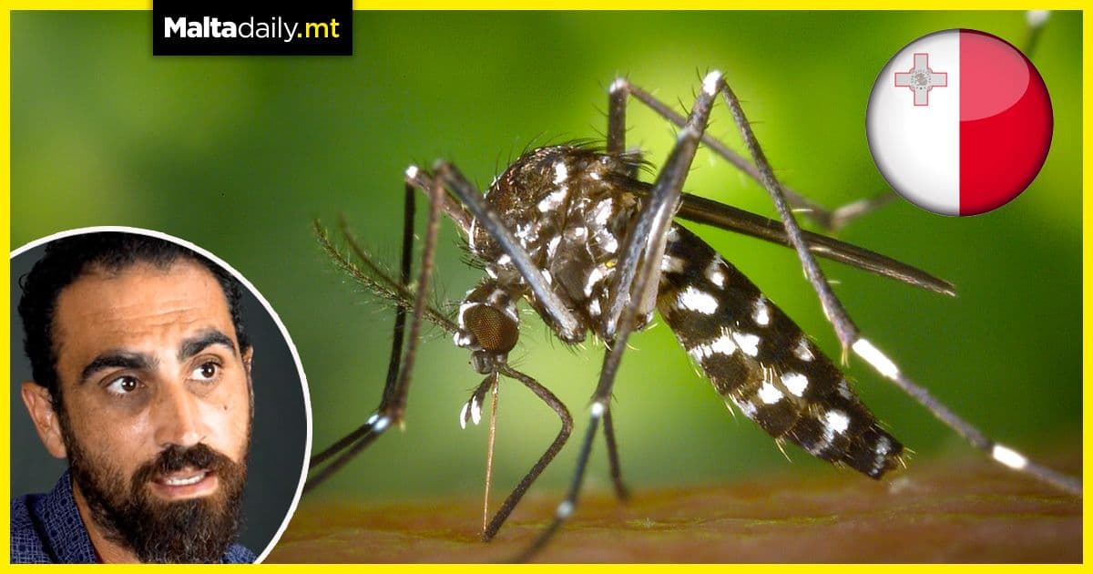 Why did pests decrease in Summer and why is it a problem?