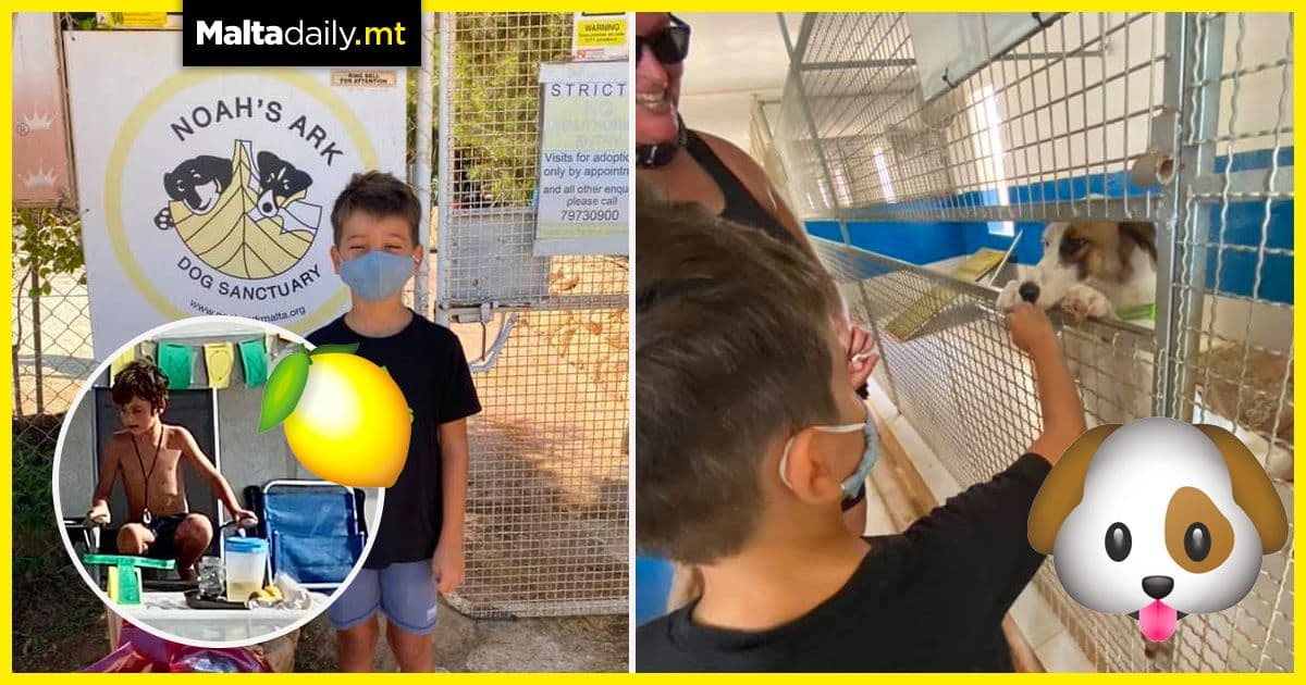 Boy opens lemonade stand to help dogs at Noah’s Ark sanctuary