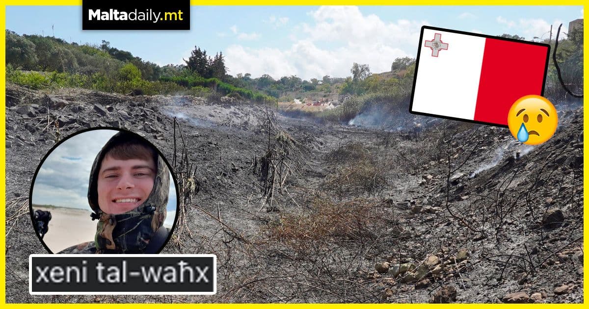 Heatwaves have scorched the Maltese environmental landscape