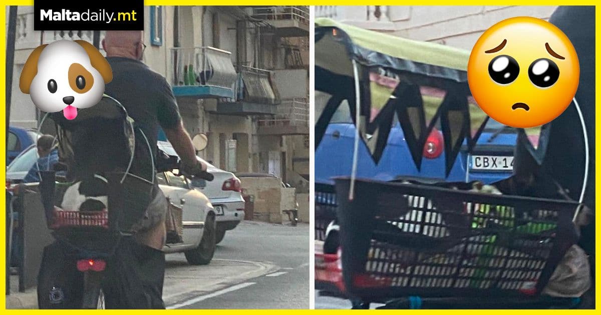 Man defines a ‘dog is man’s best friend’ in heart warming photos