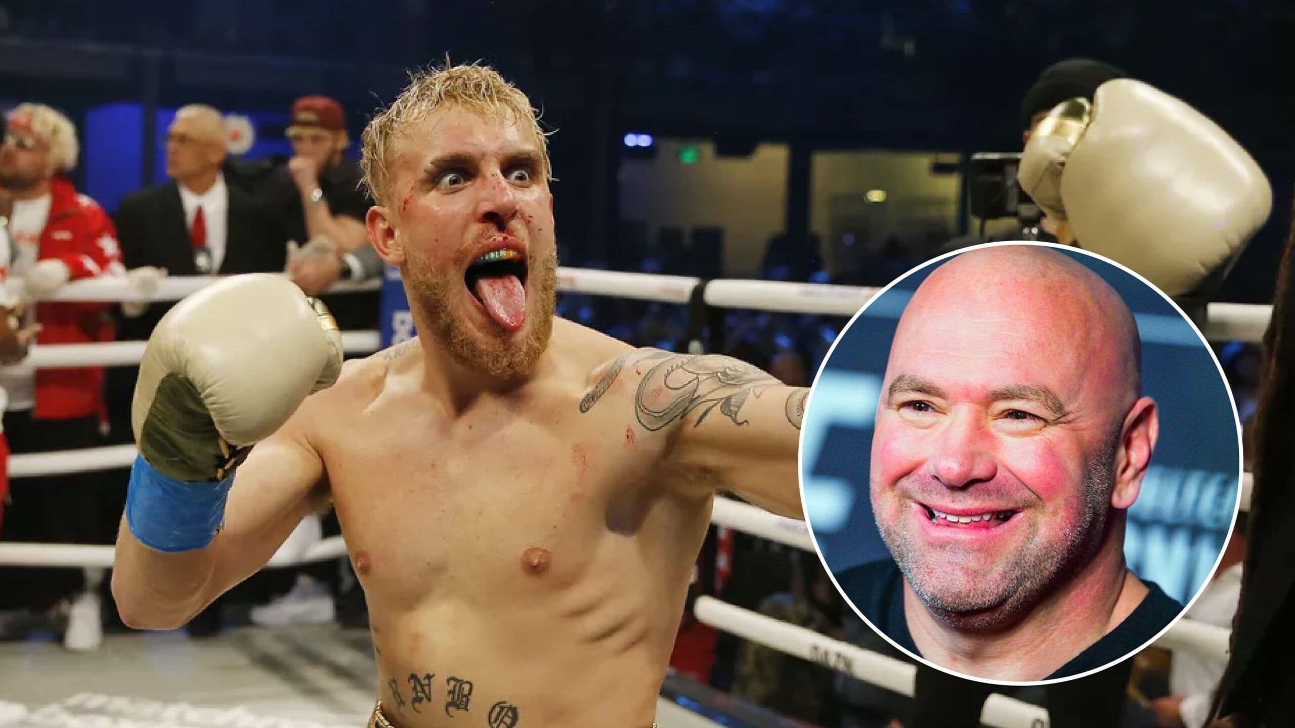 Dana White believes Jake Paul will get ‘knocked out’ in the near future