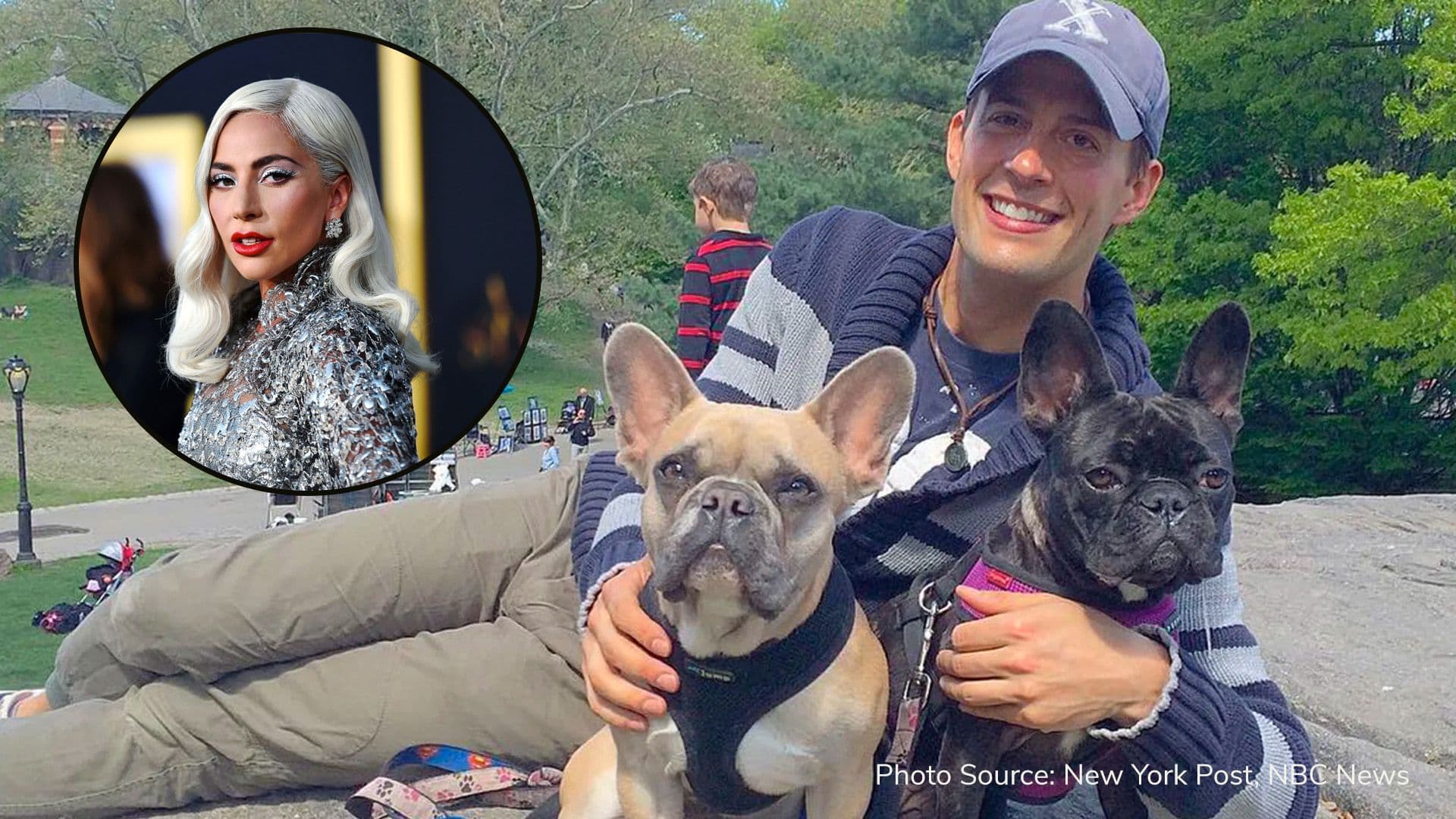 Lady Gaga’s dog-walker to make full recovery