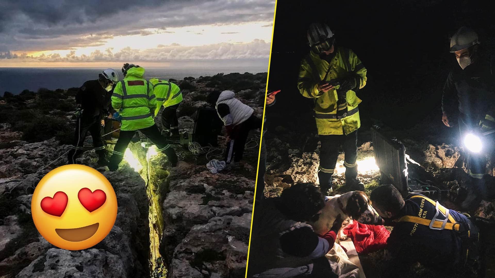 Dog saved from Mellieħa crack by Civil Protection in New Year’s miracle
