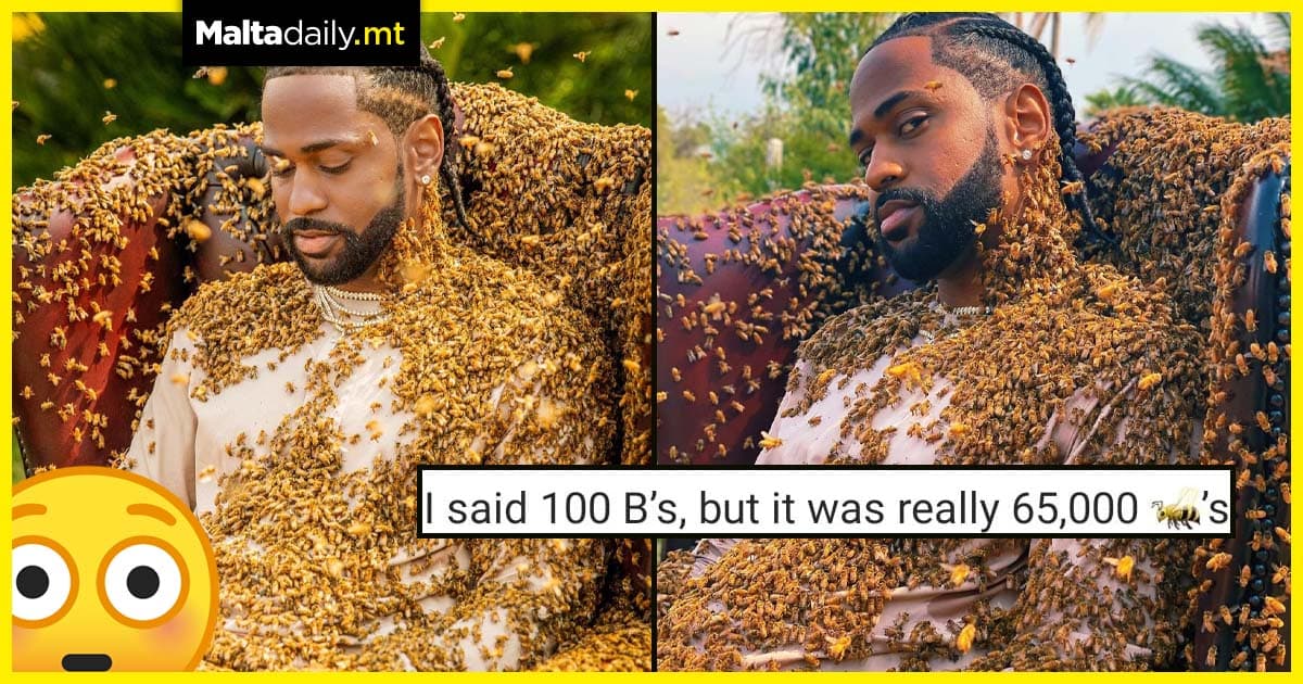 Big Sean covered in 65,000 bees for new music video ‘What A Life’