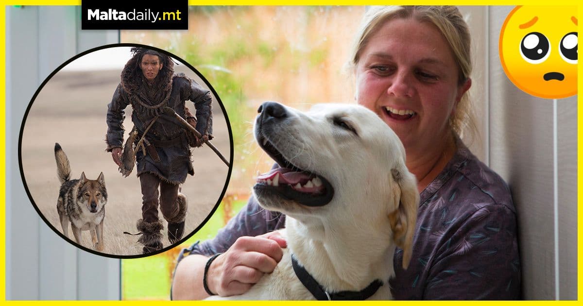 The mystery of how dogs became man’s best friend