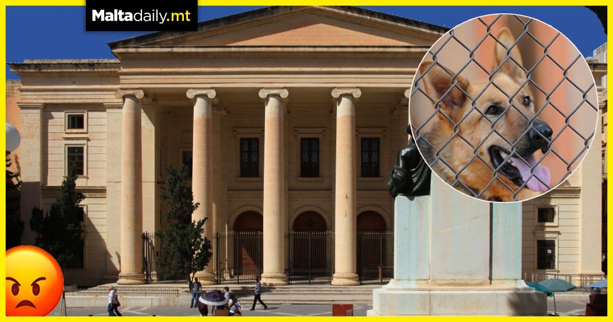 Dog show enthusiast banned from keeping animals for 25 years