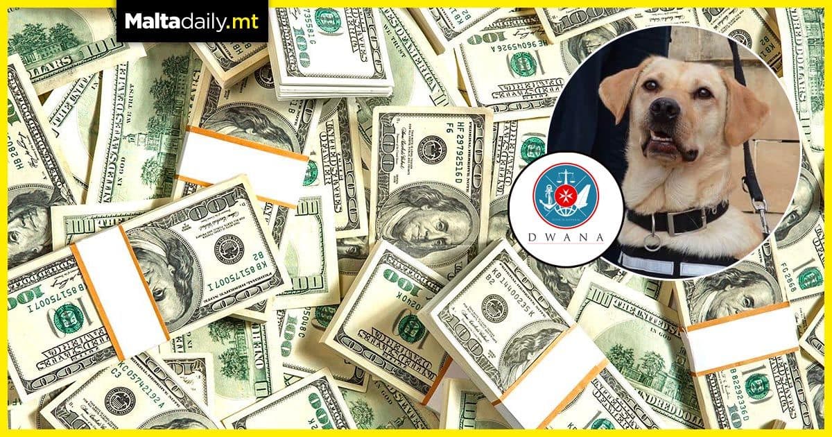 Canine officer Sophie busts €12,000 in undeclared cash