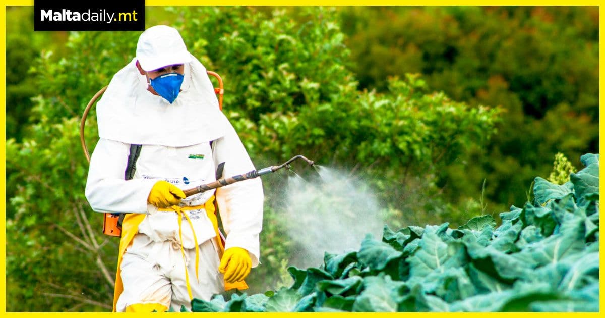 Local vegetables found doused in banned pesticide