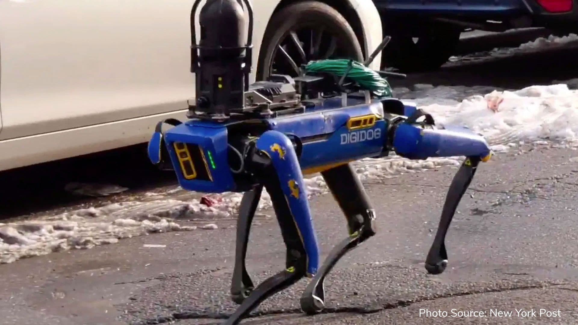 The future is now: NYPD robodog goes viral and freaks people out