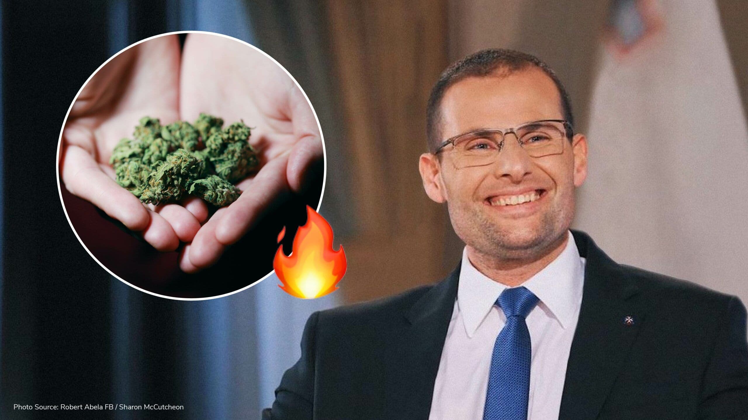 White paper proposes up to 7 grams cannabis possession & cultivating up to 4 plants