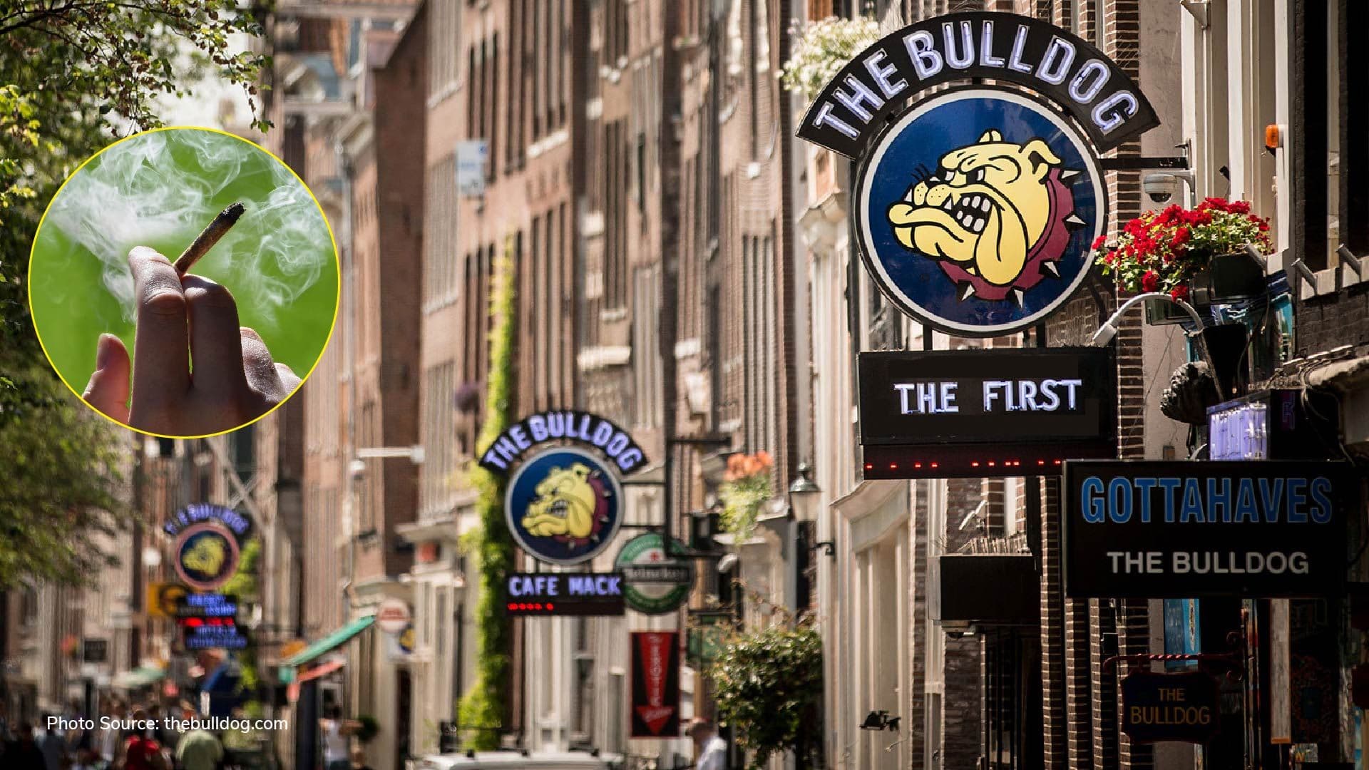 Foreigners may be banned from Amsterdam coffee shops after new proposal