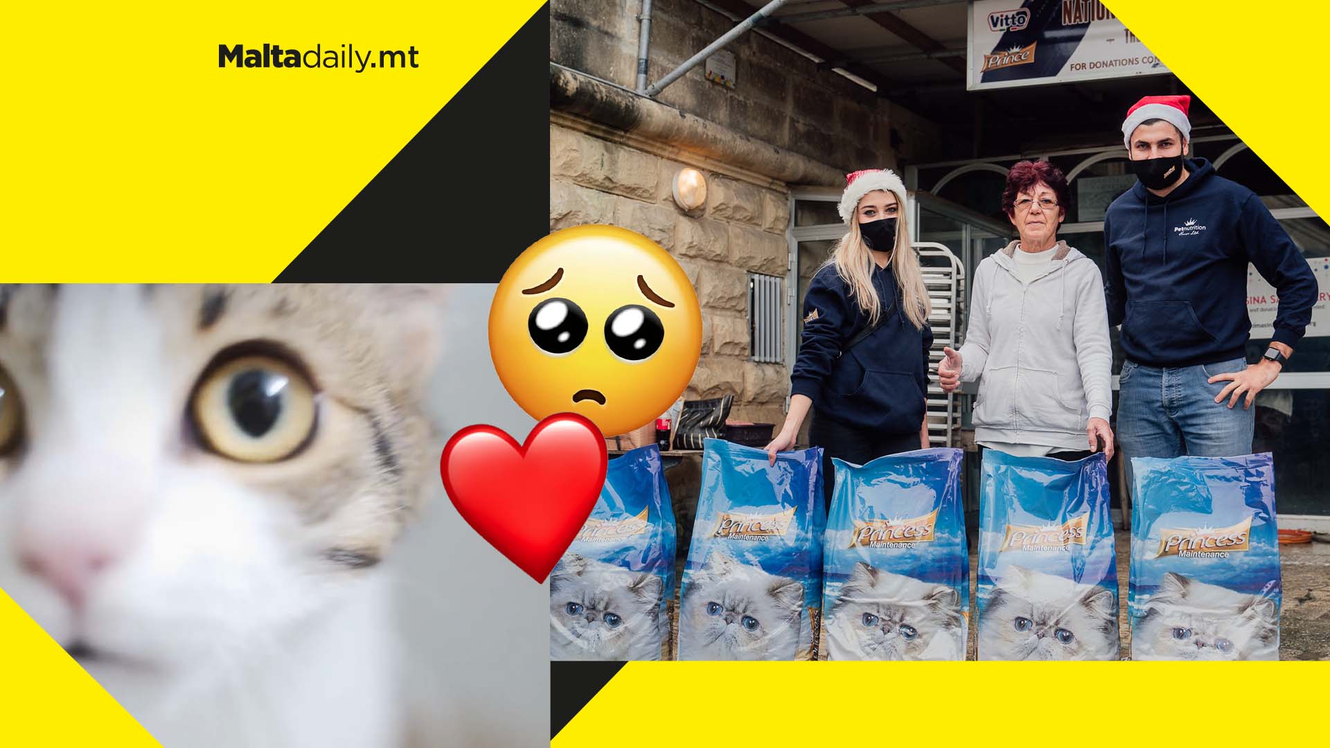 Even animals deserve Christmas presents! Stray cats & dogs receive €1,400 worth of food