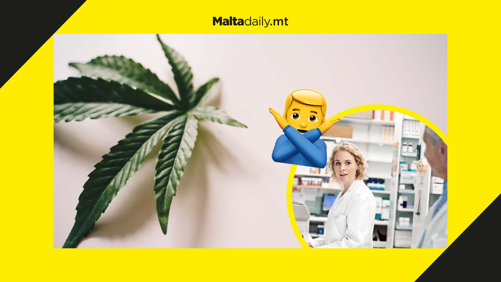 Pharmacists join call for the President to refrain from signing cannabis reform bill