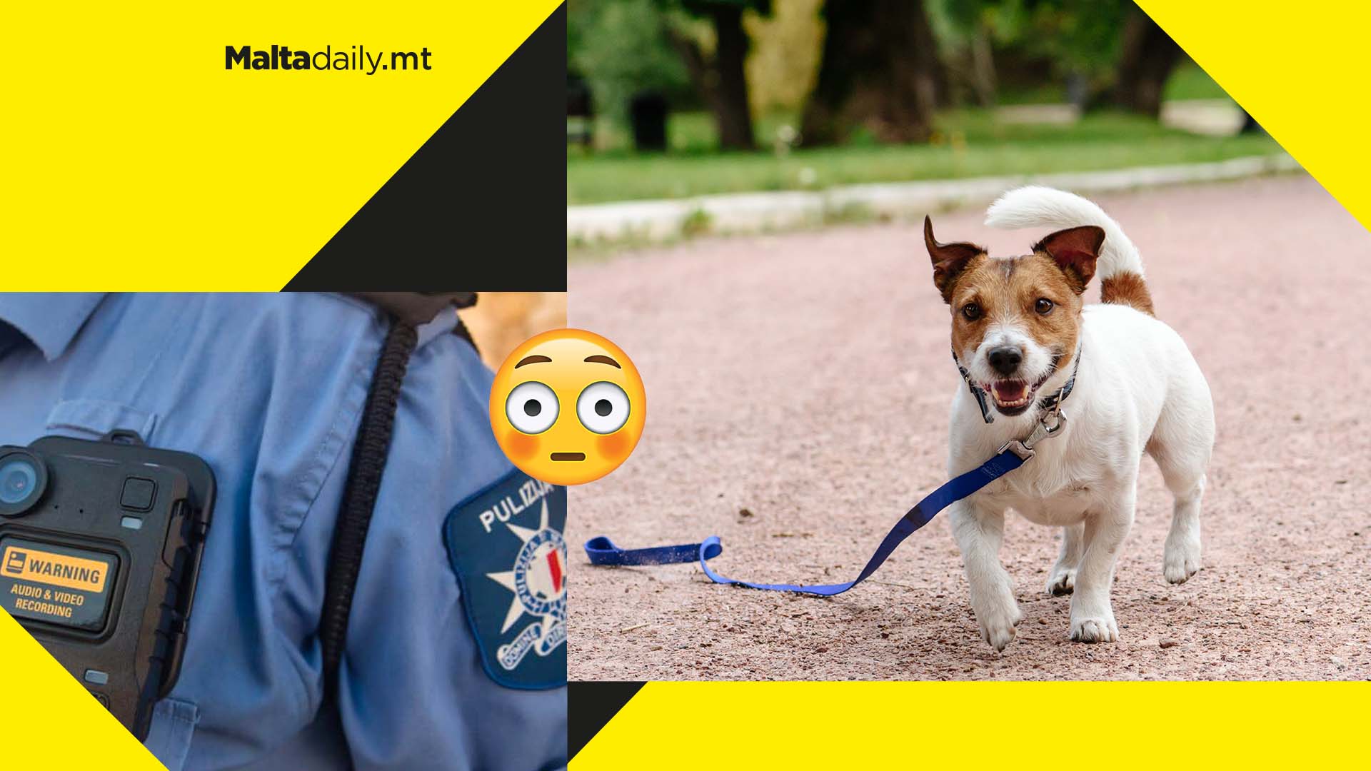 Man escaping arrest claims he was chasing his runaway dog