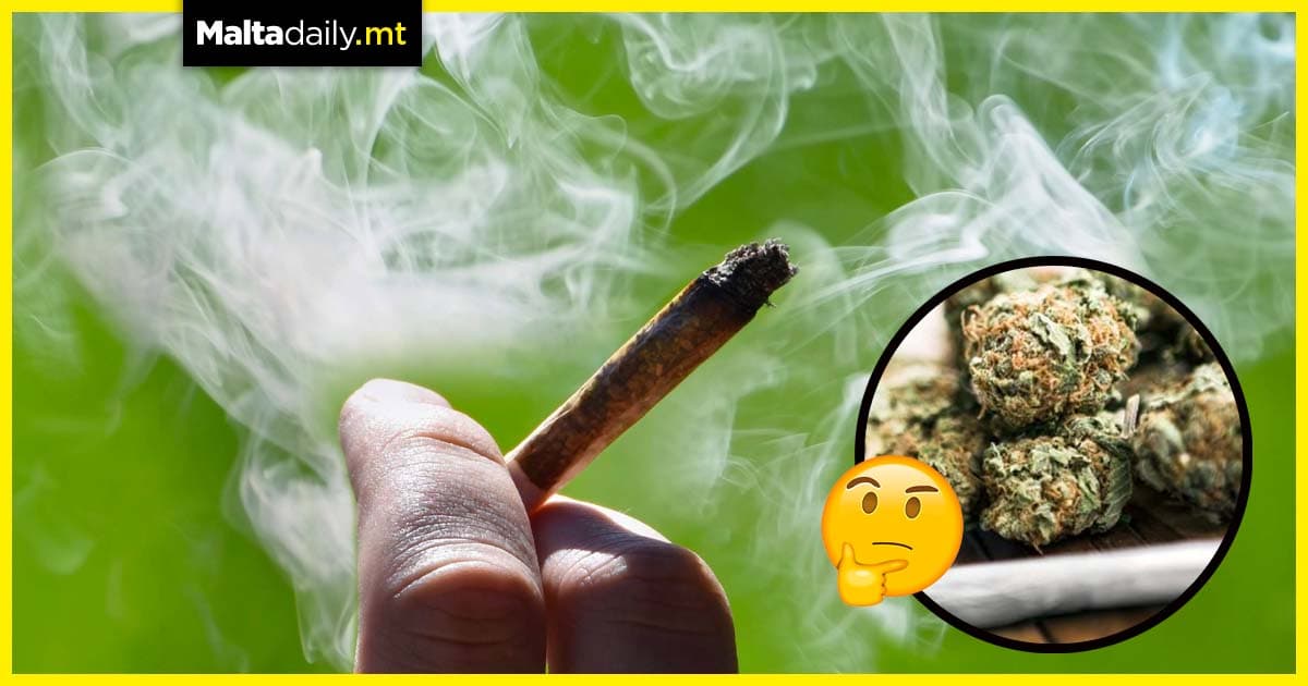 ‘Hidden Motives’ – employers concerned over workplace cannabis abuse