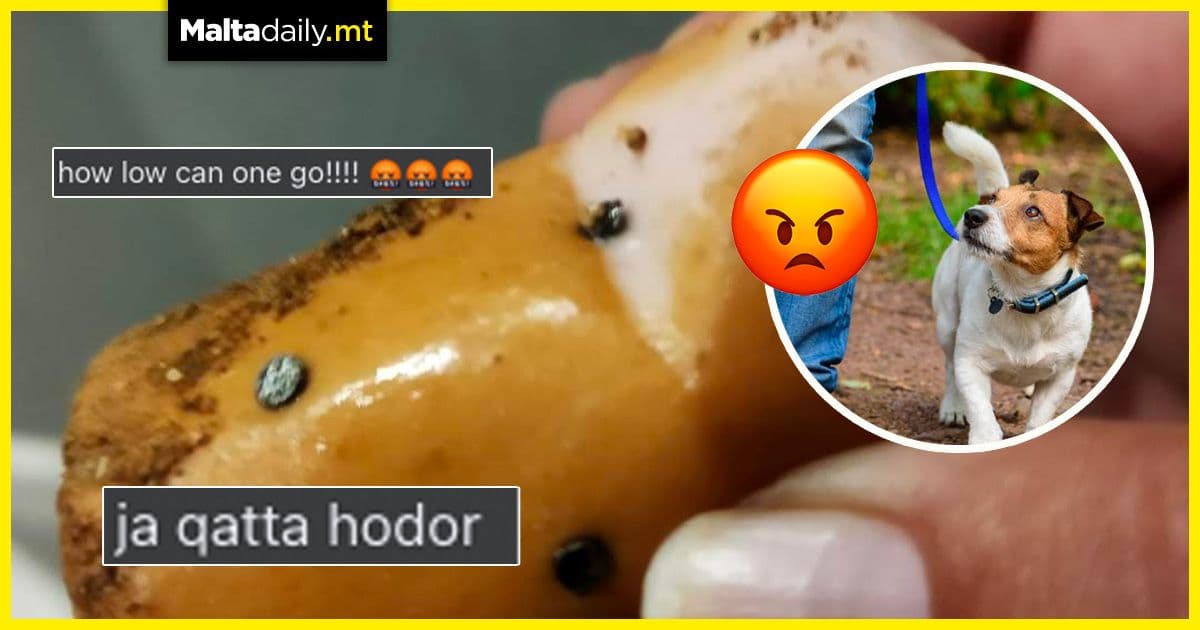 More sausages with nails found between Naxxar and Mosta