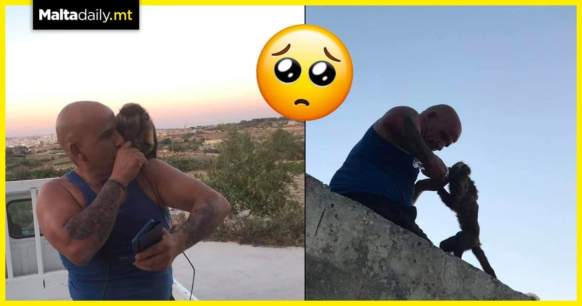 Smiley the monkey back home safe and sound