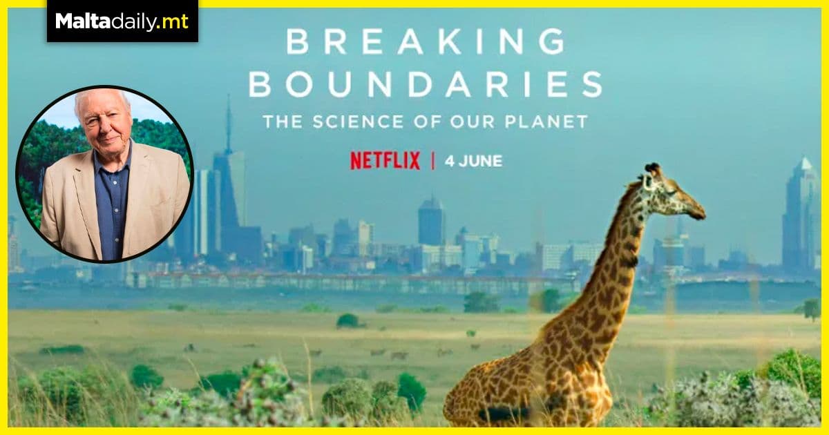 David Attenborough’s heartbreaking Netflix documentary drops today
