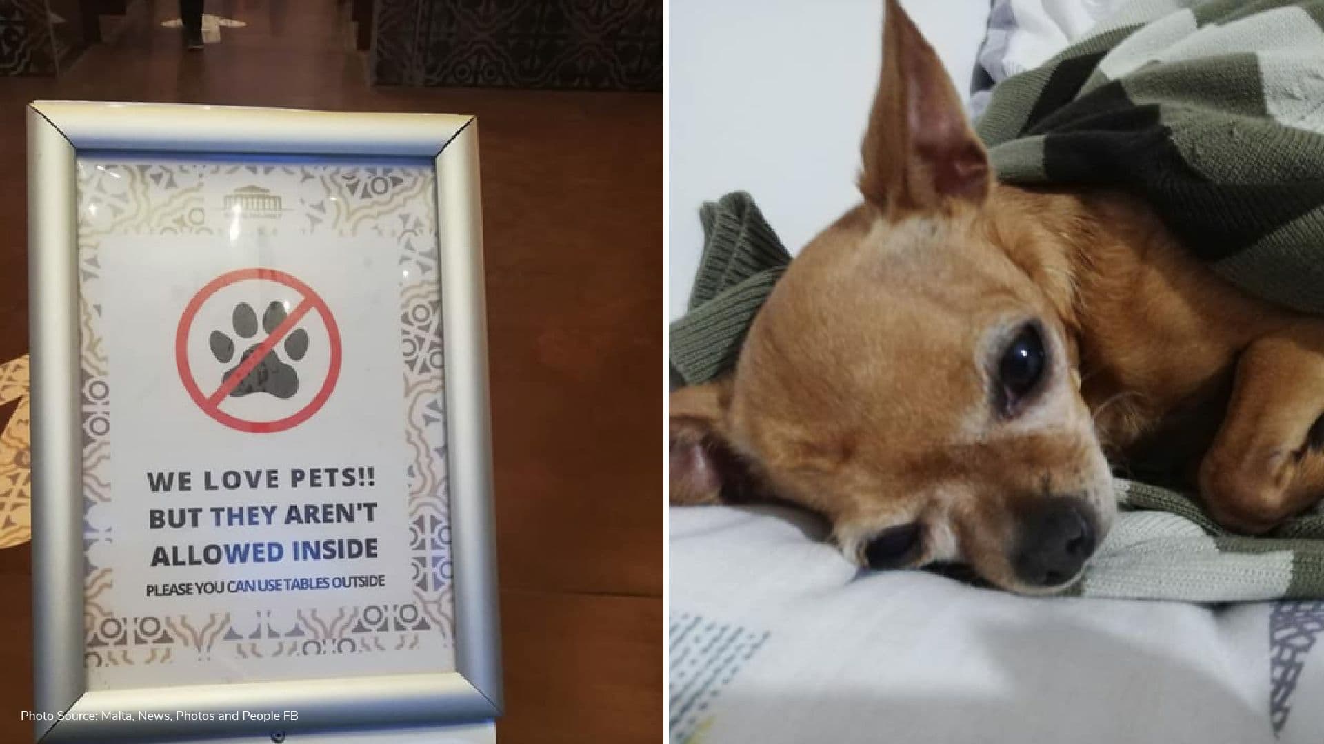 Suq tal-Belt sign prohibiting pets creates online backlash