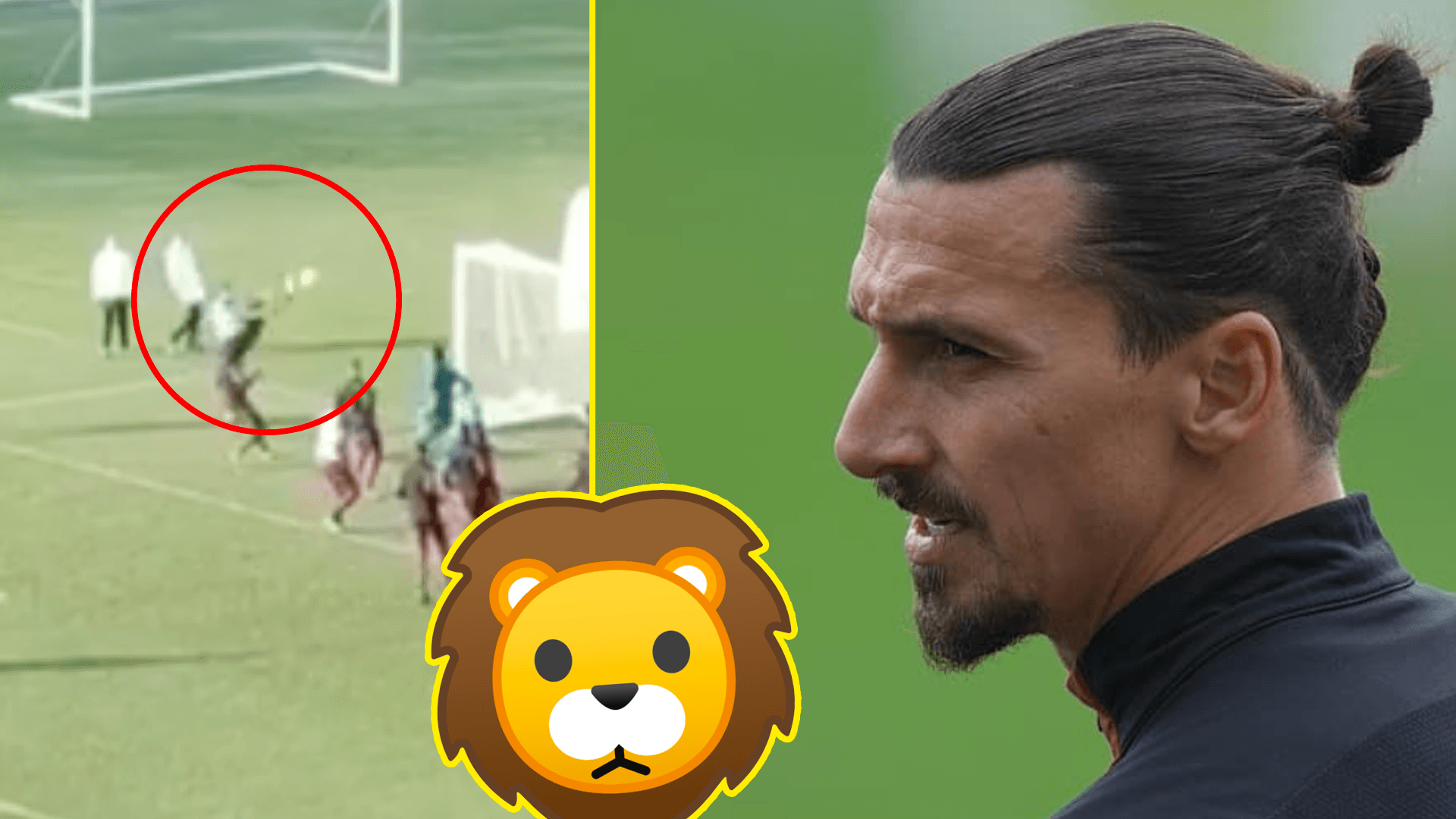 39-year-old Zlatan scores a ninja esque goal