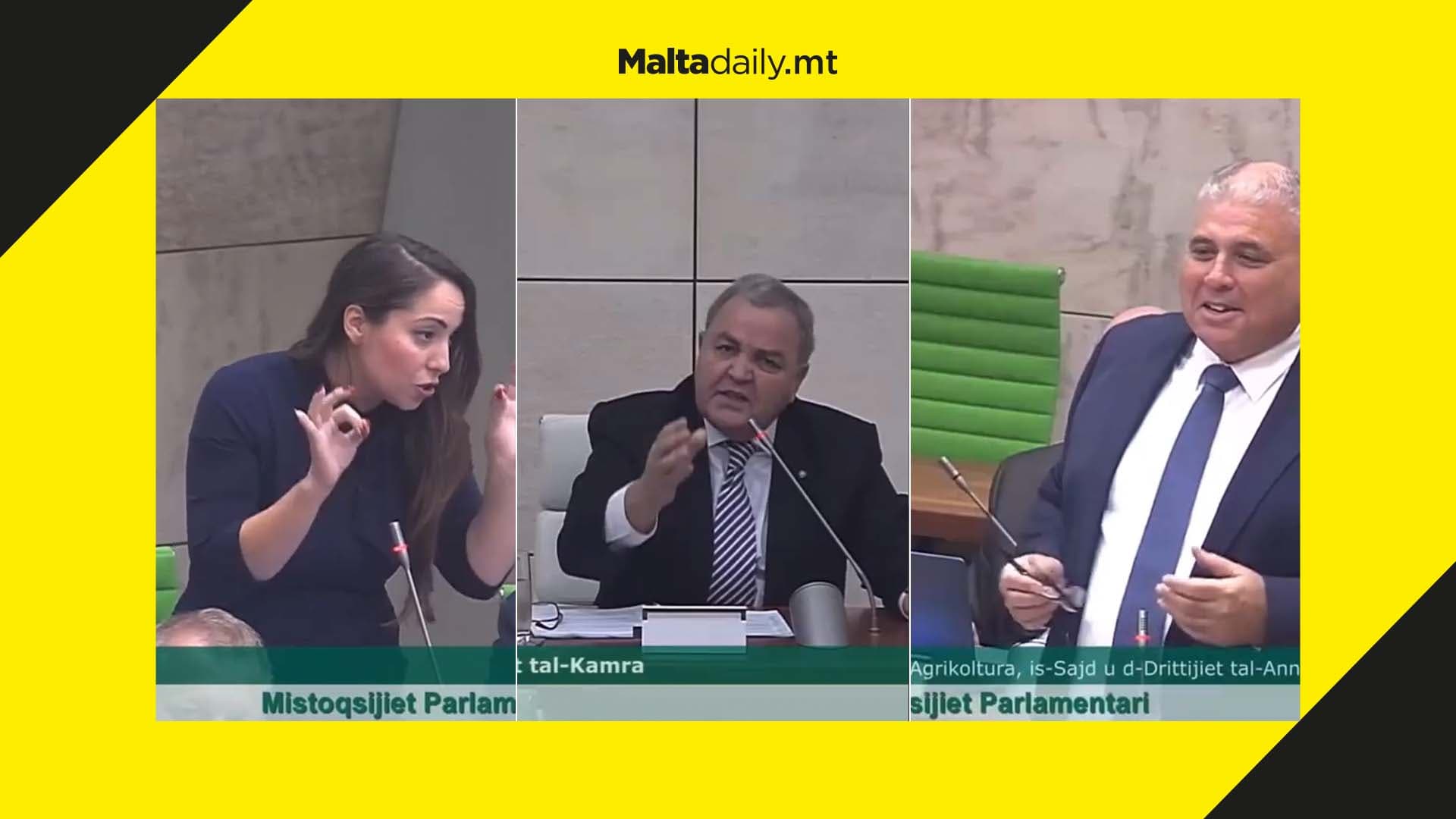 WATCH: Chaos in Parliament as Minister mocks MP Julie Zahra about her singing