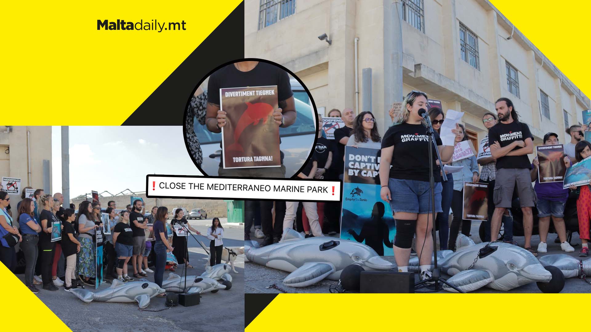 16 activist groups demand closure of marine park due to dolphin deaths