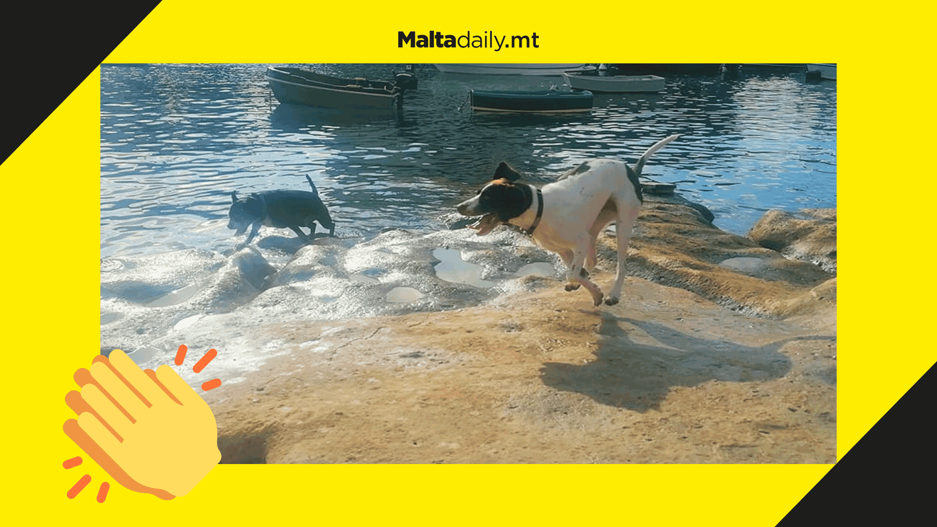 New dog friendly beach opens in Birżebbuġa