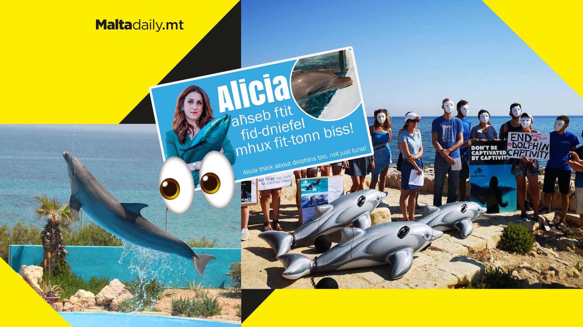 Activists calling for withdrawal of Mediterraneo’s zoo license