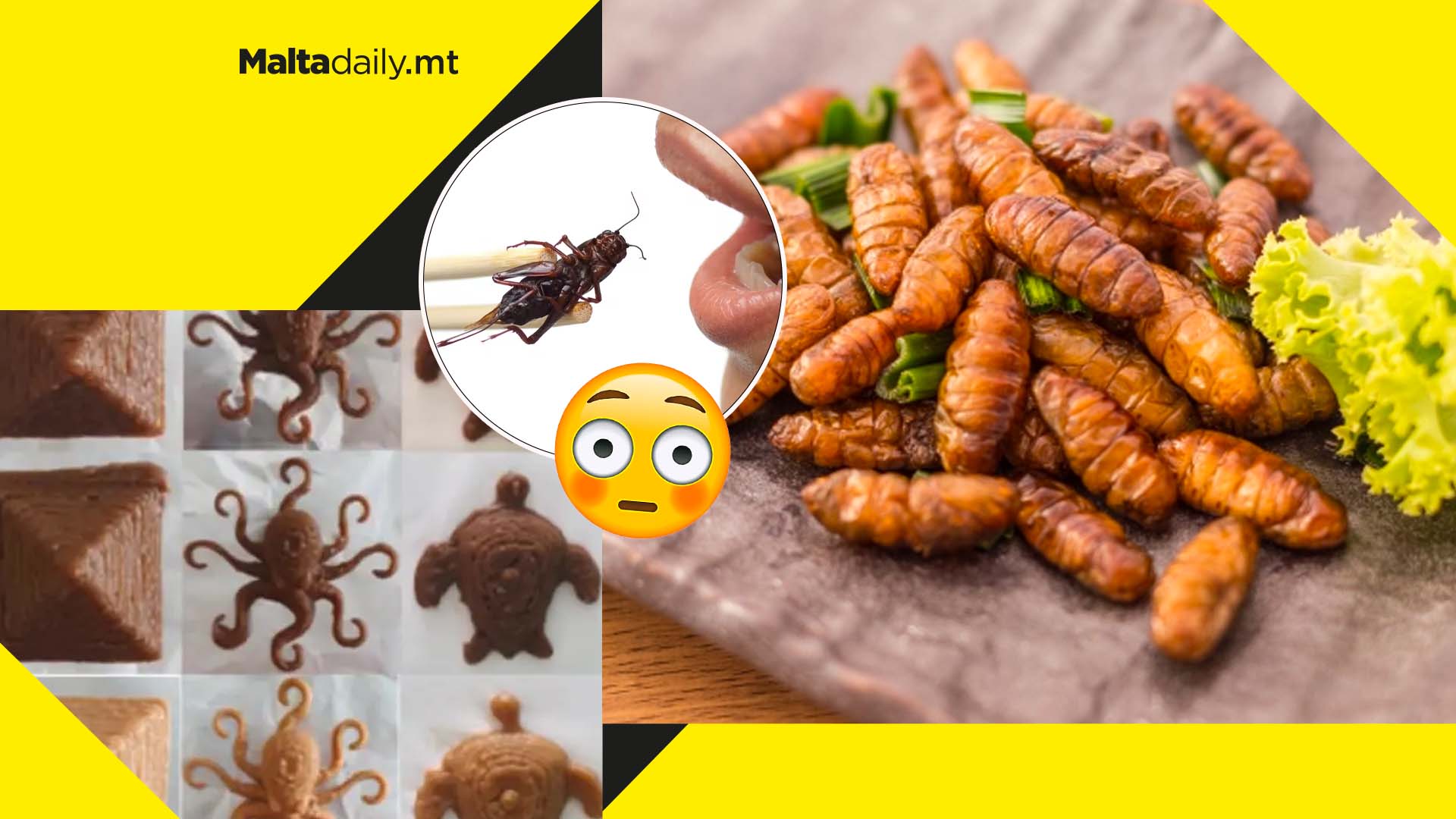 Scientists are 3D printing insect protein to address food supply issues