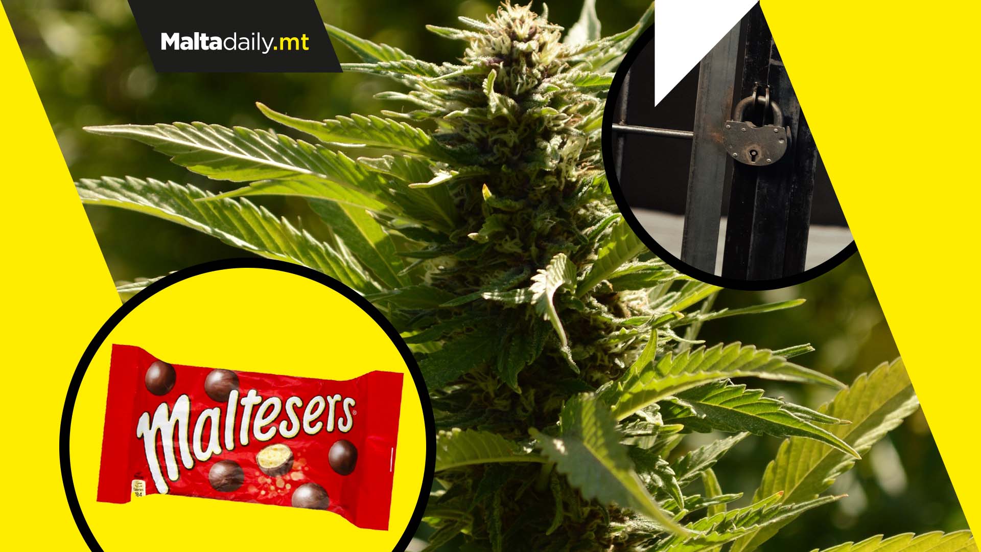 10-month prison sentence for man who hid cannabis in Maltesers packet whilst in prison