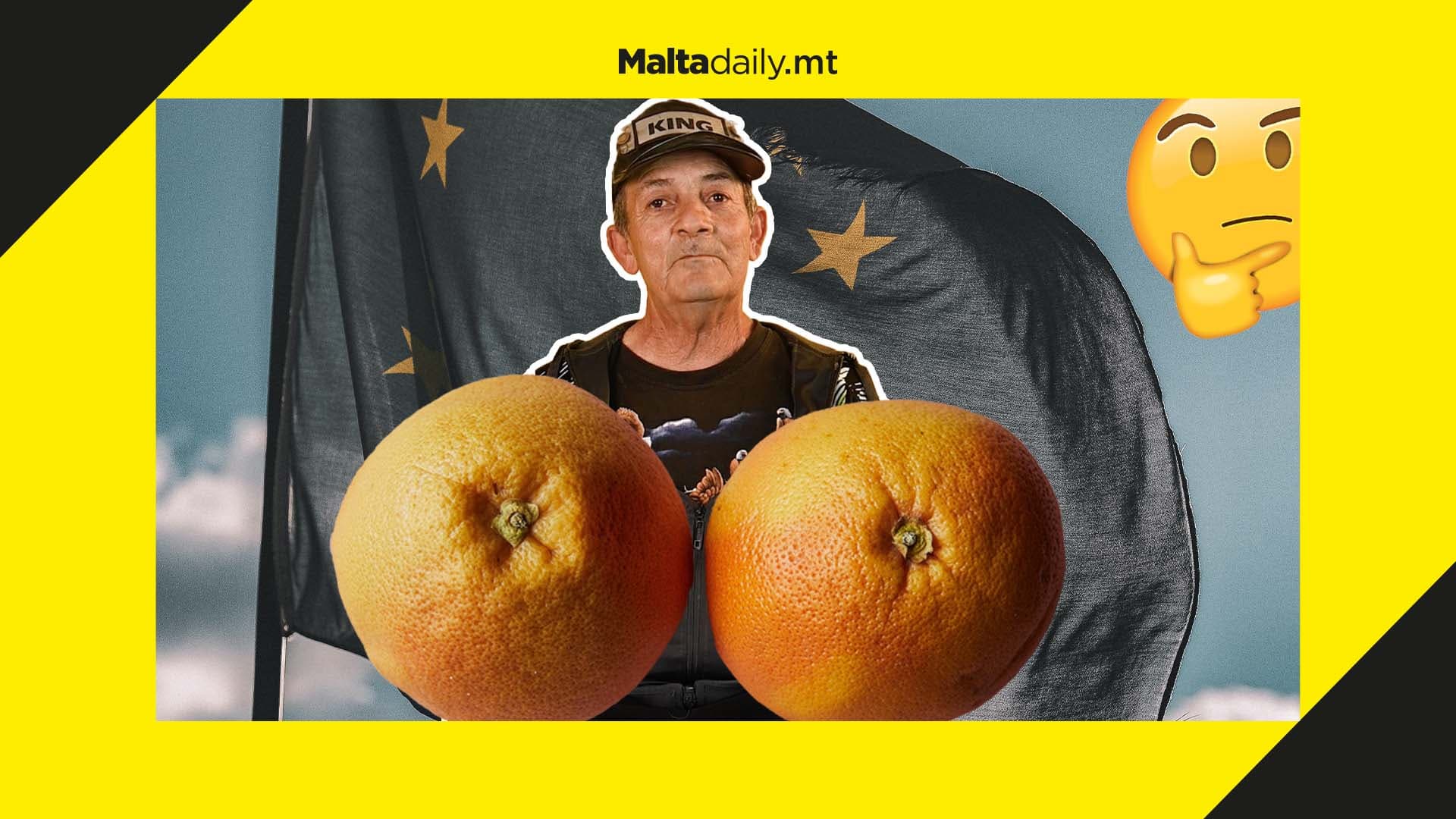 Żaren tal-Ajkla reveals wish to contest MEP elections; pledges to keep breast implant proposal