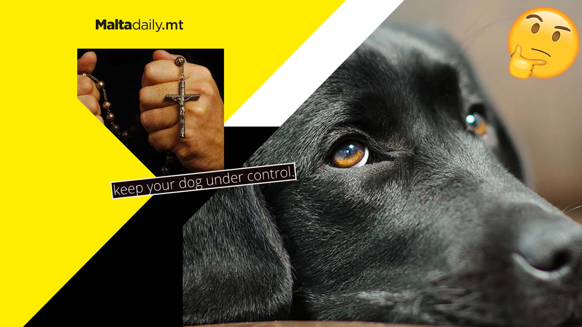 Parish request to keep dogs locked during blessings divides opinion