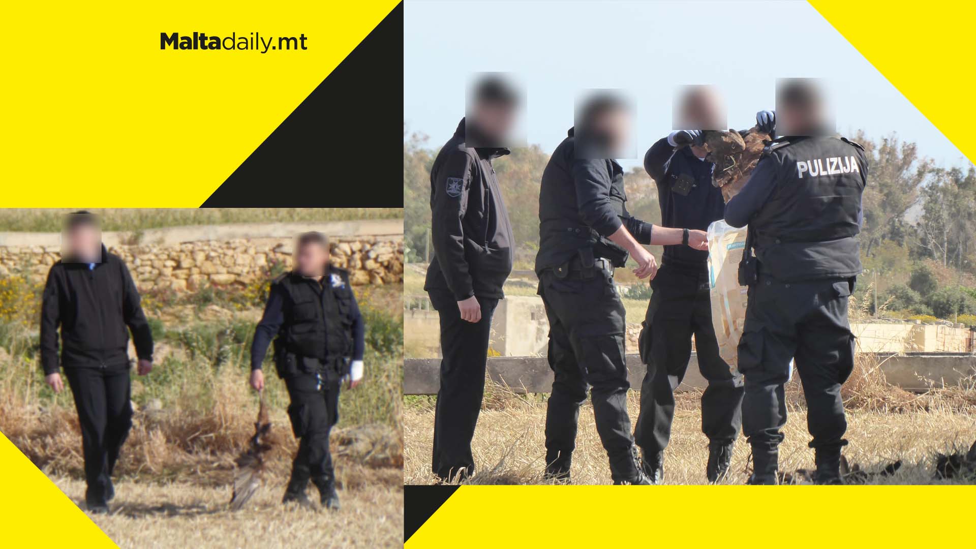 14-year-old left unattended with shotgun as reports of dead protected bird increase