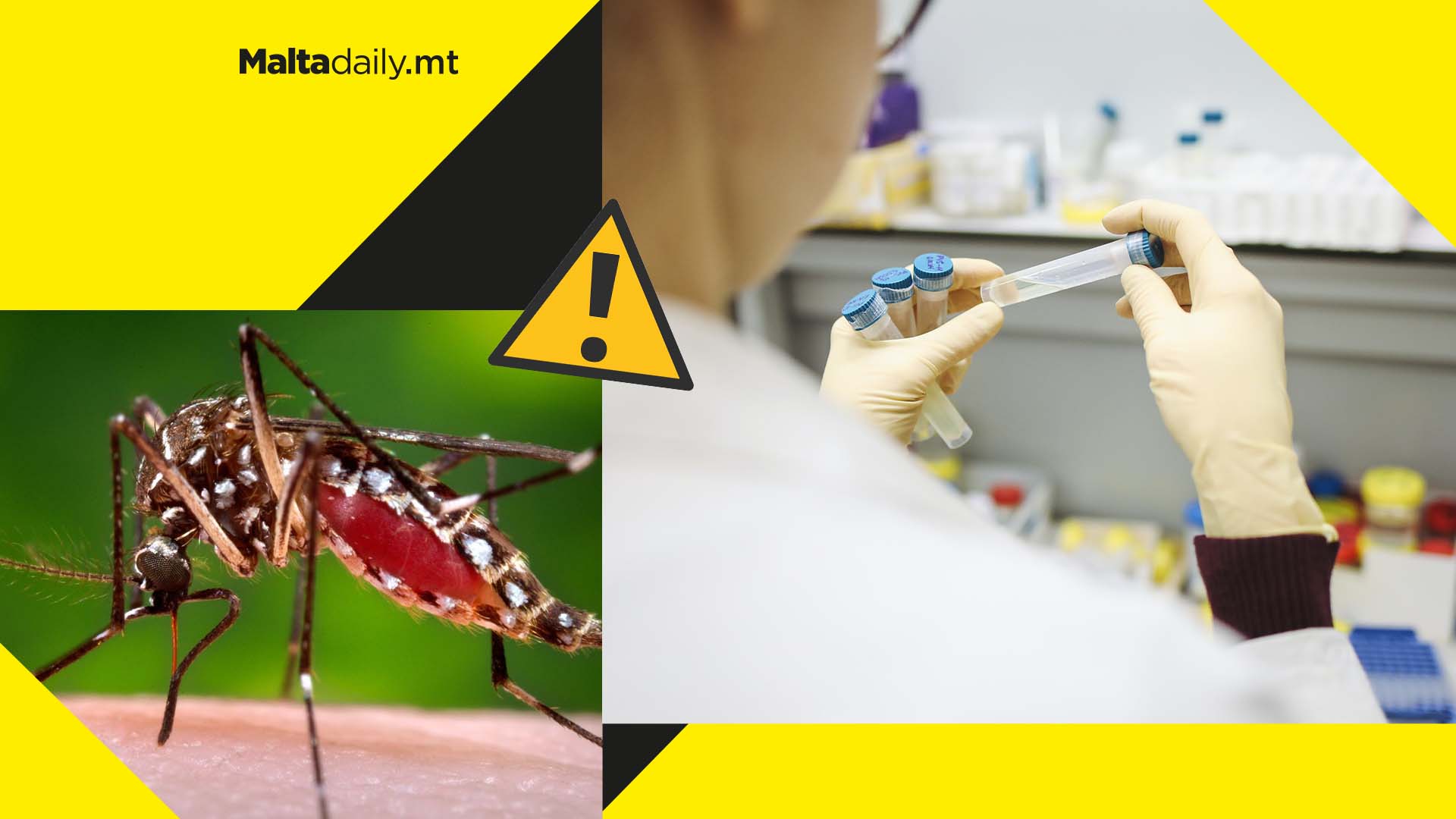 Zika virus may be on brink of ‘explosive outbreak’, researchers warn