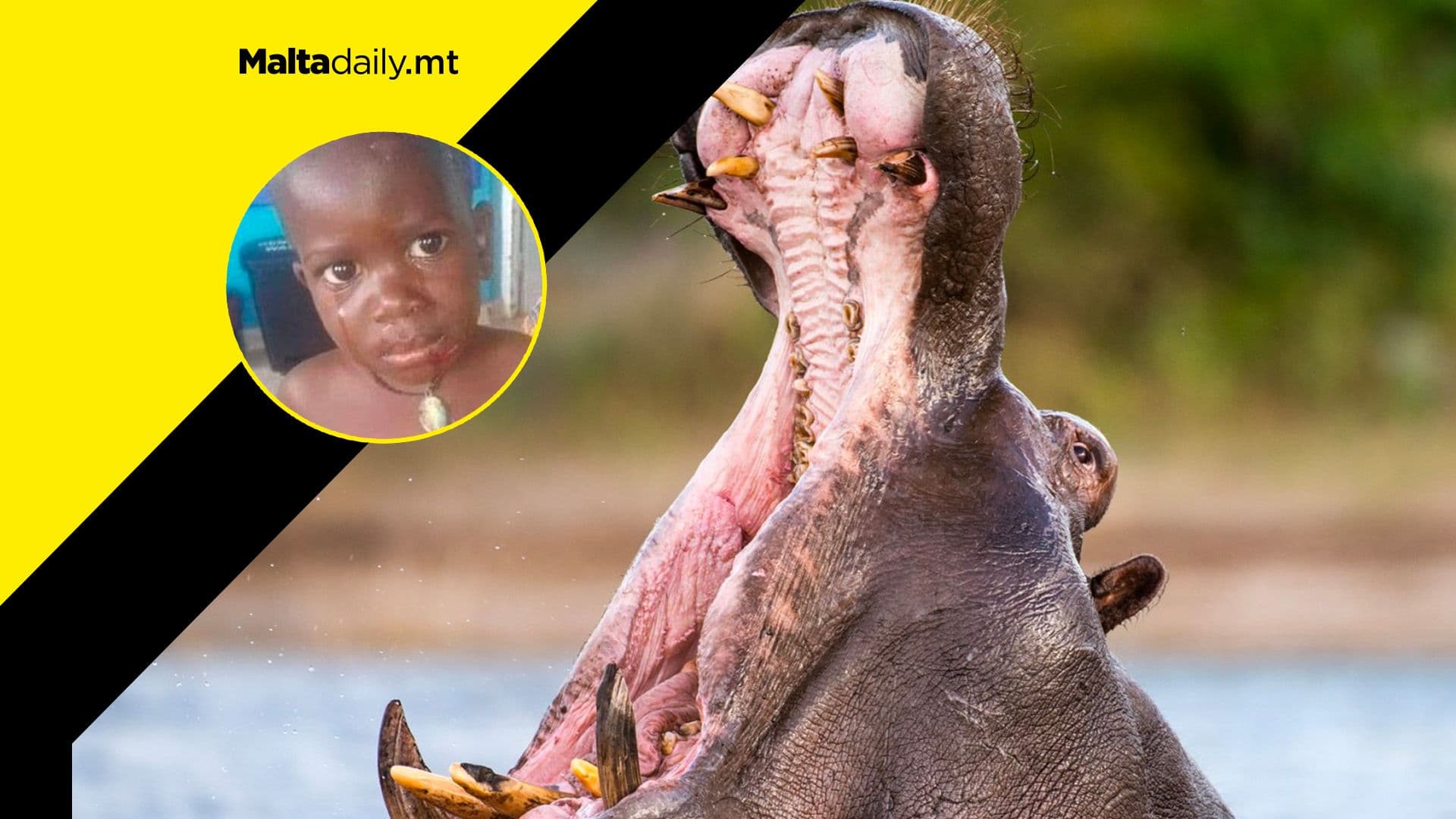 Uganda: 2-year-old partially swallowed alive by a hippo