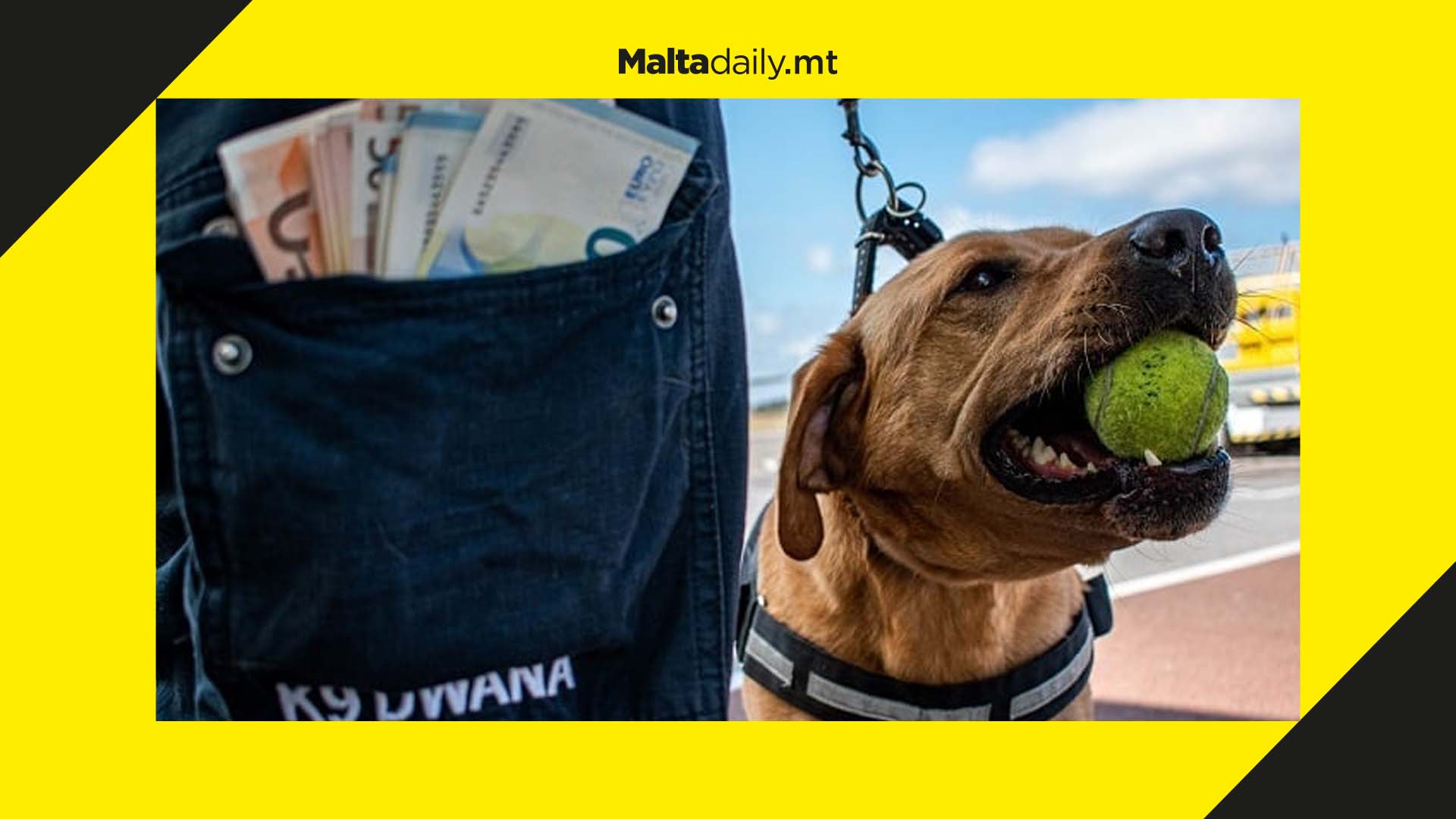 €51,988 in undeclared cash intercepted during October 2022